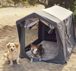 Dometic K9 80 Dog Air Tent 2026