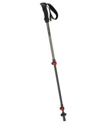 Pico Walking Pole