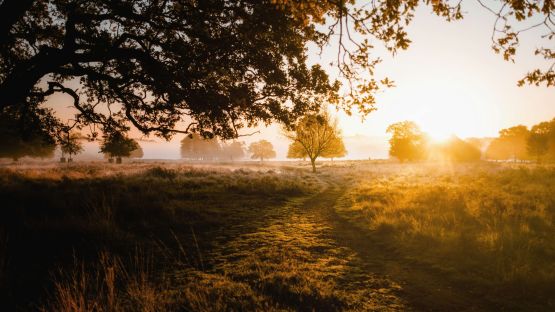 Why you should Camp in Autumn