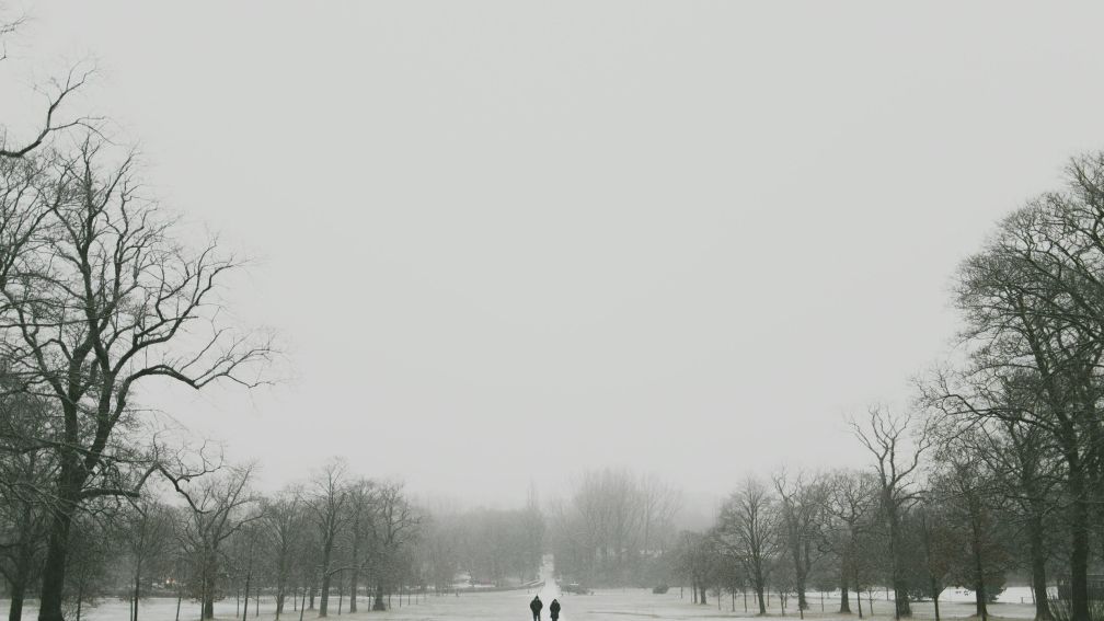 5 Magical Christmas Walks