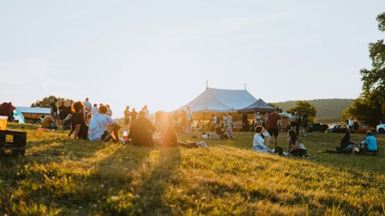 Top 3 Festival Camping Tents