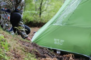 Green polycotton tent being pitched in forest land,