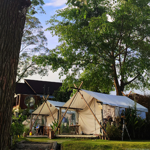 an image showing a luxury canvas safari tent amongst greenery and large oak tree behind. 