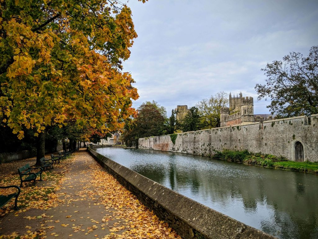 An image showing a riverside boardwalk in autumn lined with golden leaf trees. on the other side of the river is a castle wall. 