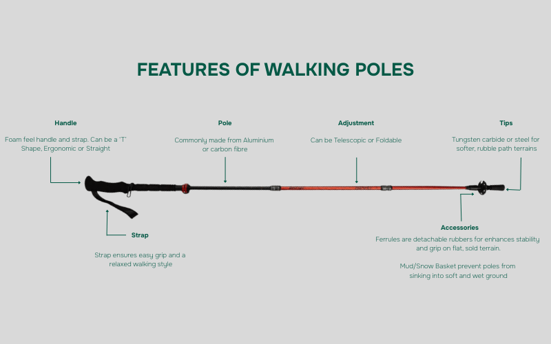 A infographic showing the features of walking poles