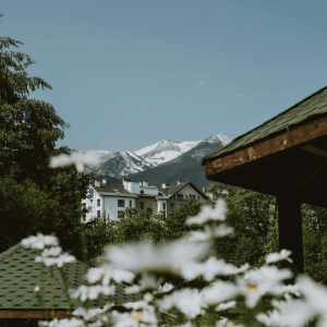 an image showing snow topped mountains in winter in the background and wooden chalet houses in the foreground with unfocused daisies. 